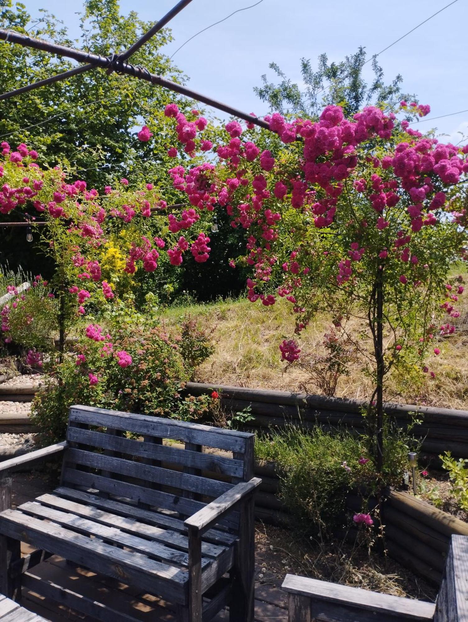 卢瓦尔之窗住宿加早餐旅馆 Iguerande 外观 照片