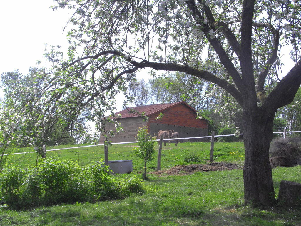 卢瓦尔之窗住宿加早餐旅馆 Iguerande 外观 照片